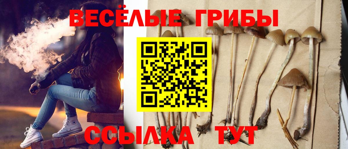 наркота  Вход с VPN  Иркутск  Галлюциногенные грибы Cubensis 