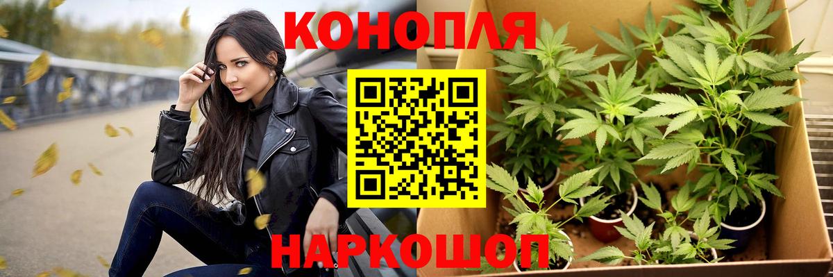 Бошки Шишки марихуана Иркутск